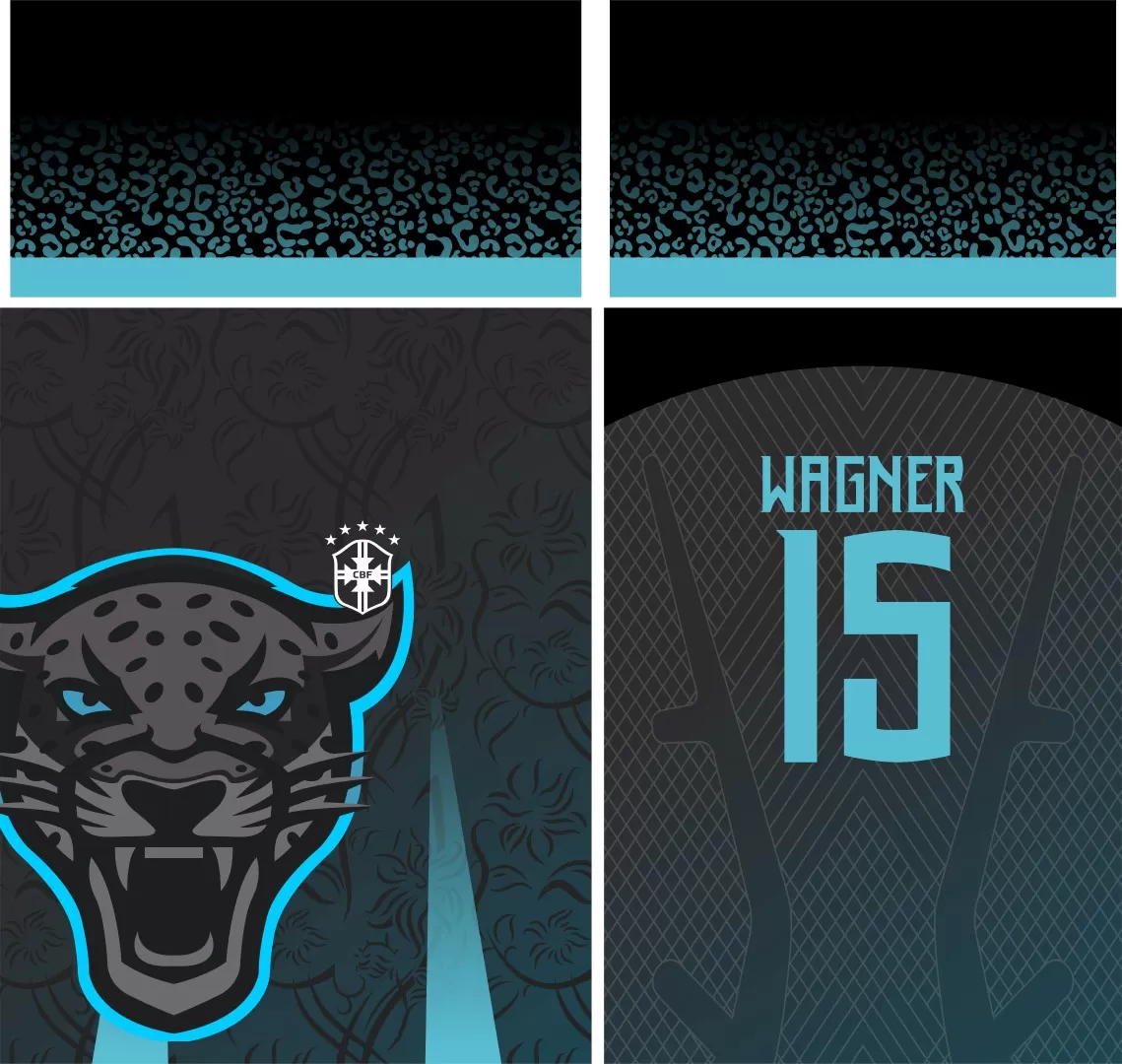 Carolina Panthers Logo Design - História e Significado