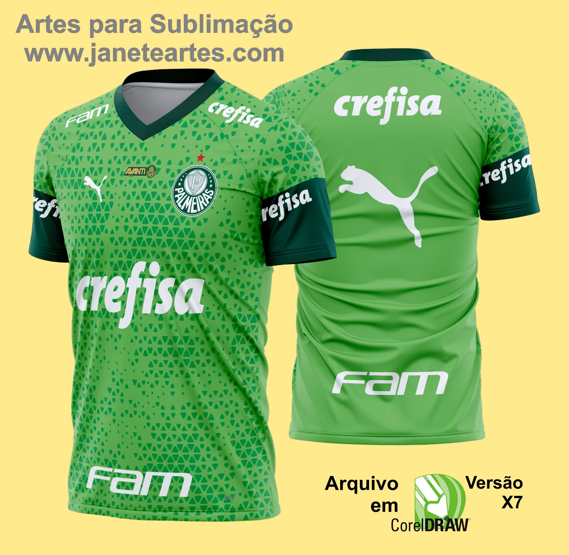 Arte Vetor Camisa Palmeiras Treino I 2024 - 2025