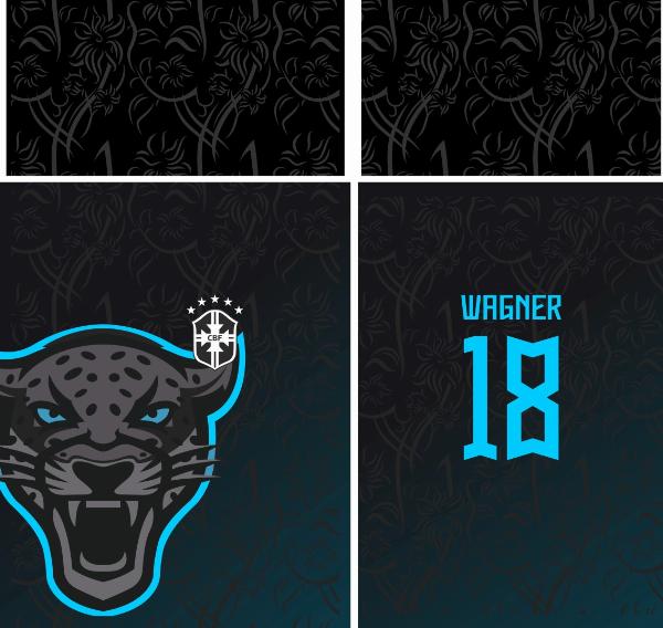 Carolina Panthers Logo Design - História e Significado