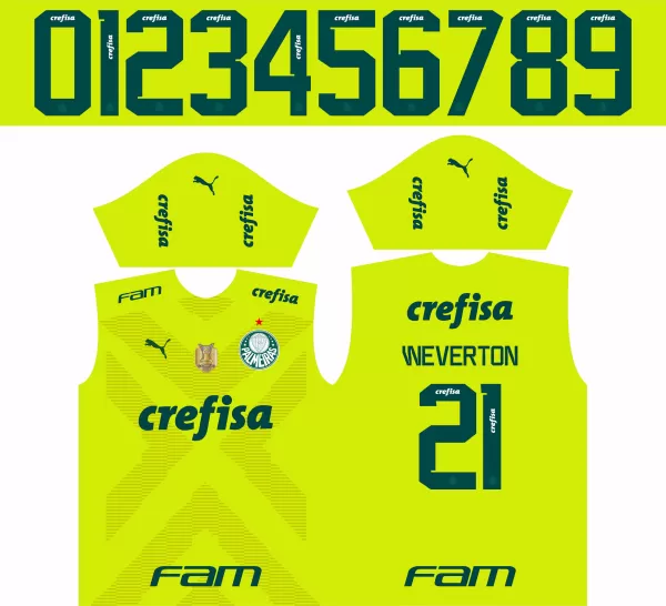 Arte Vetor Camisa Time Palmeiras Goleiro 2023
